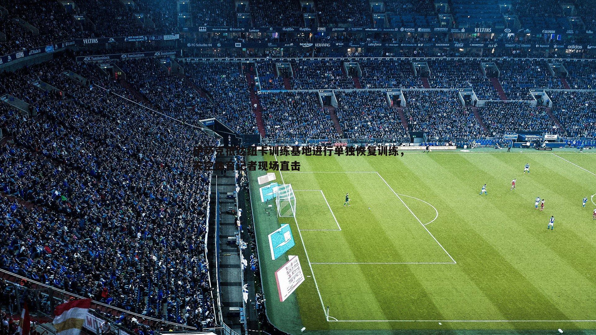 伊萨克抵达纽卡训练基地进行单独恢复训练,天空体育记者现场直击